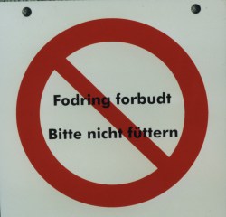 fodring forbudt